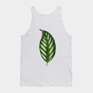 Maranta Porteana Leaf Illustration Isolated Tank Top